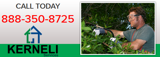 Call Kerneli Tree Service at 800-404-3950
